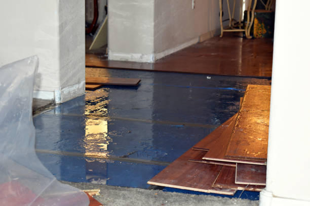 Professional Basement Flood Cleanup technician working in East Lynne, MO
